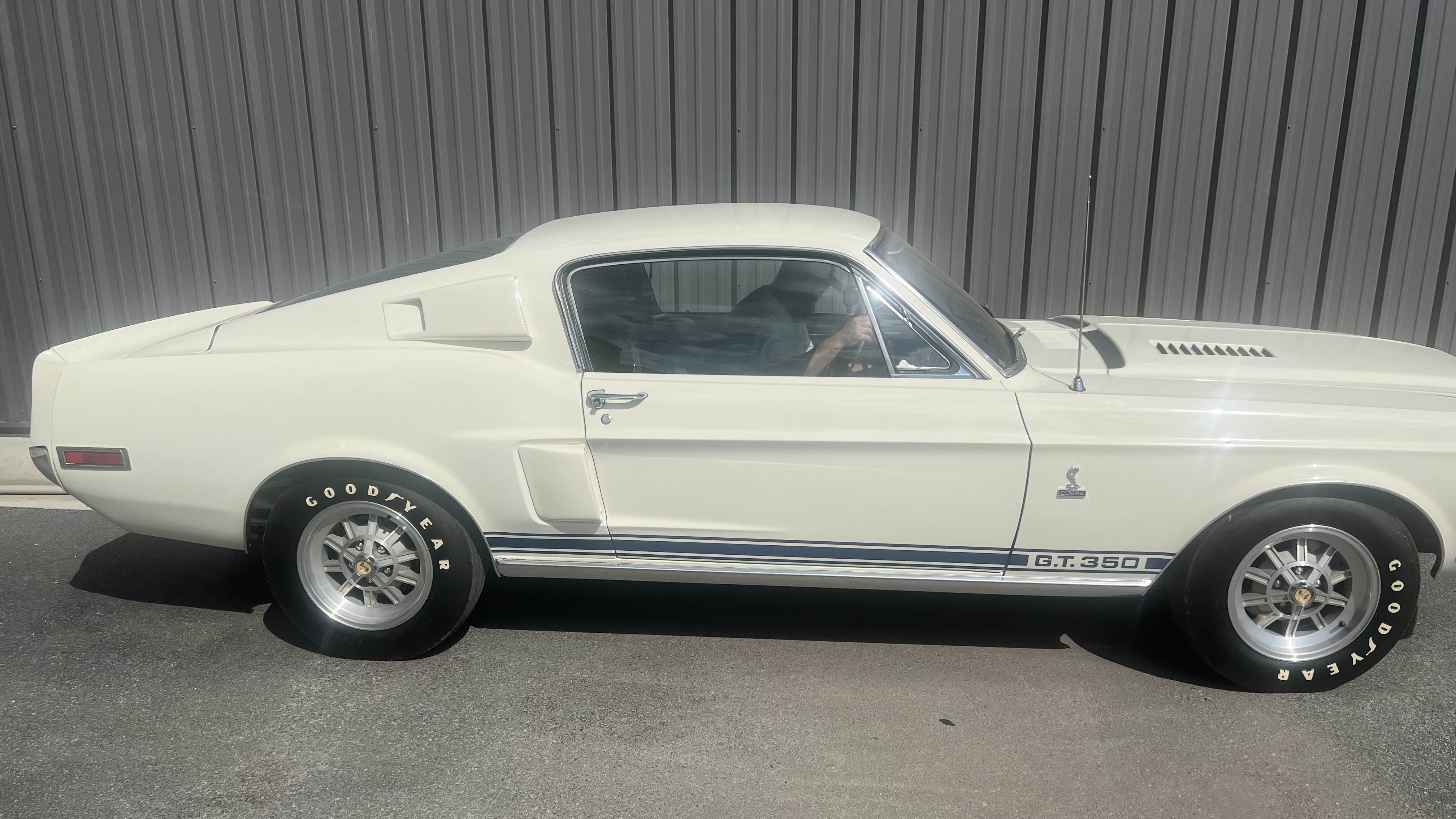 1st Image of a 1968 FORD SHELBY