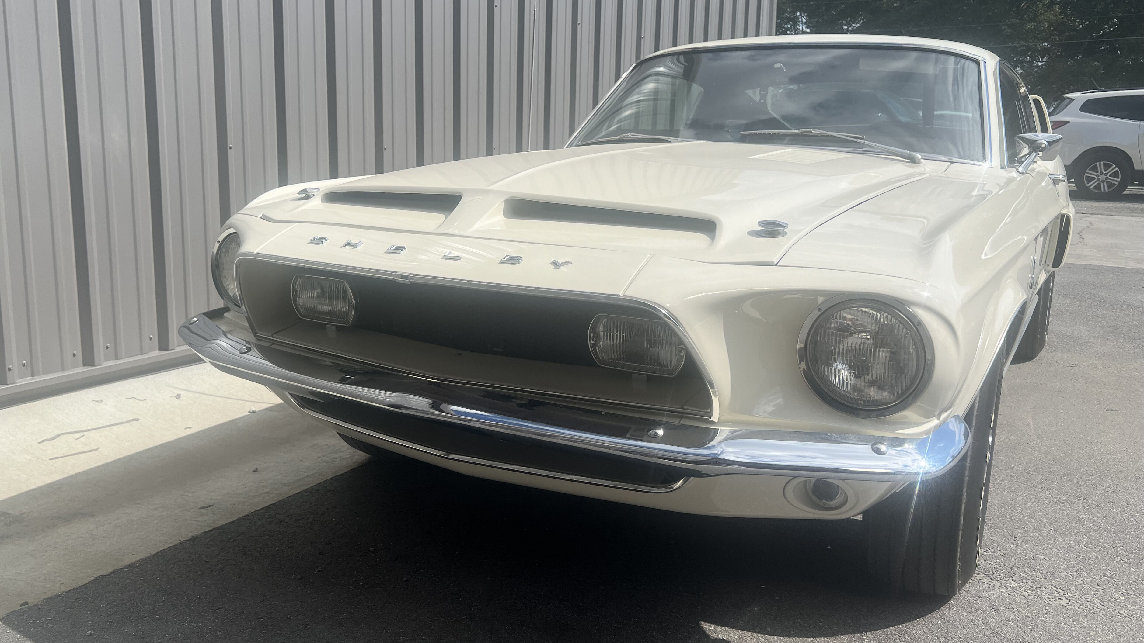 2nd Image of a 1968 FORD SHELBY