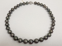 Image 2 of 5 of a N/A 14K WHITE GOLD CULTURED SOUTH SEA PEARL