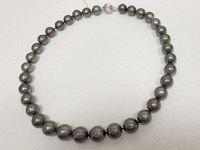 Image 3 of 5 of a N/A 14K WHITE GOLD CULTURED SOUTH SEA PEARL