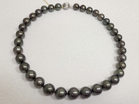Image 4 of 5 of a N/A 14K WHITE GOLD CULTURED SOUTH SEA PEARL