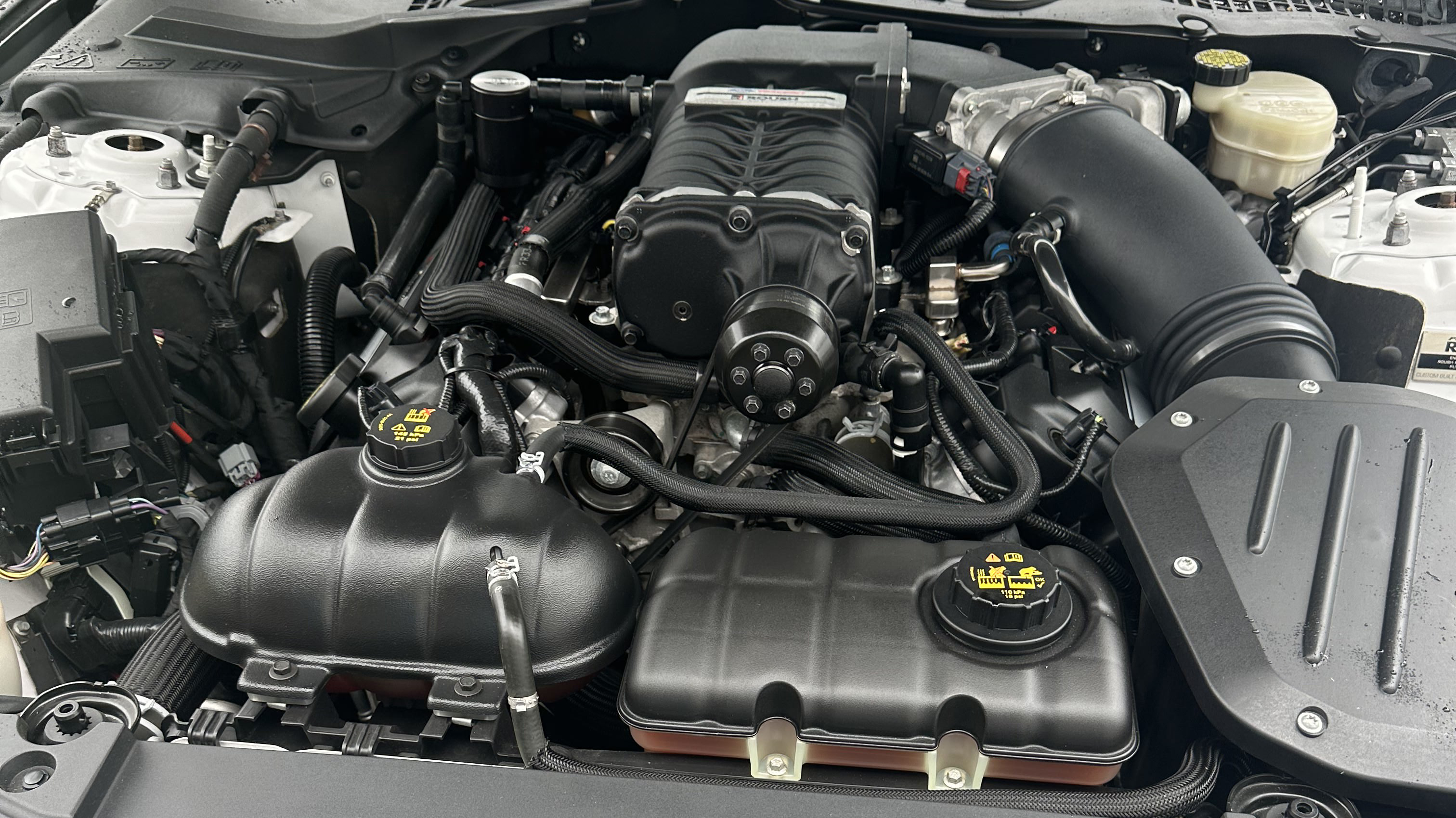 11th Image of a 2015 FORD MUSTANG