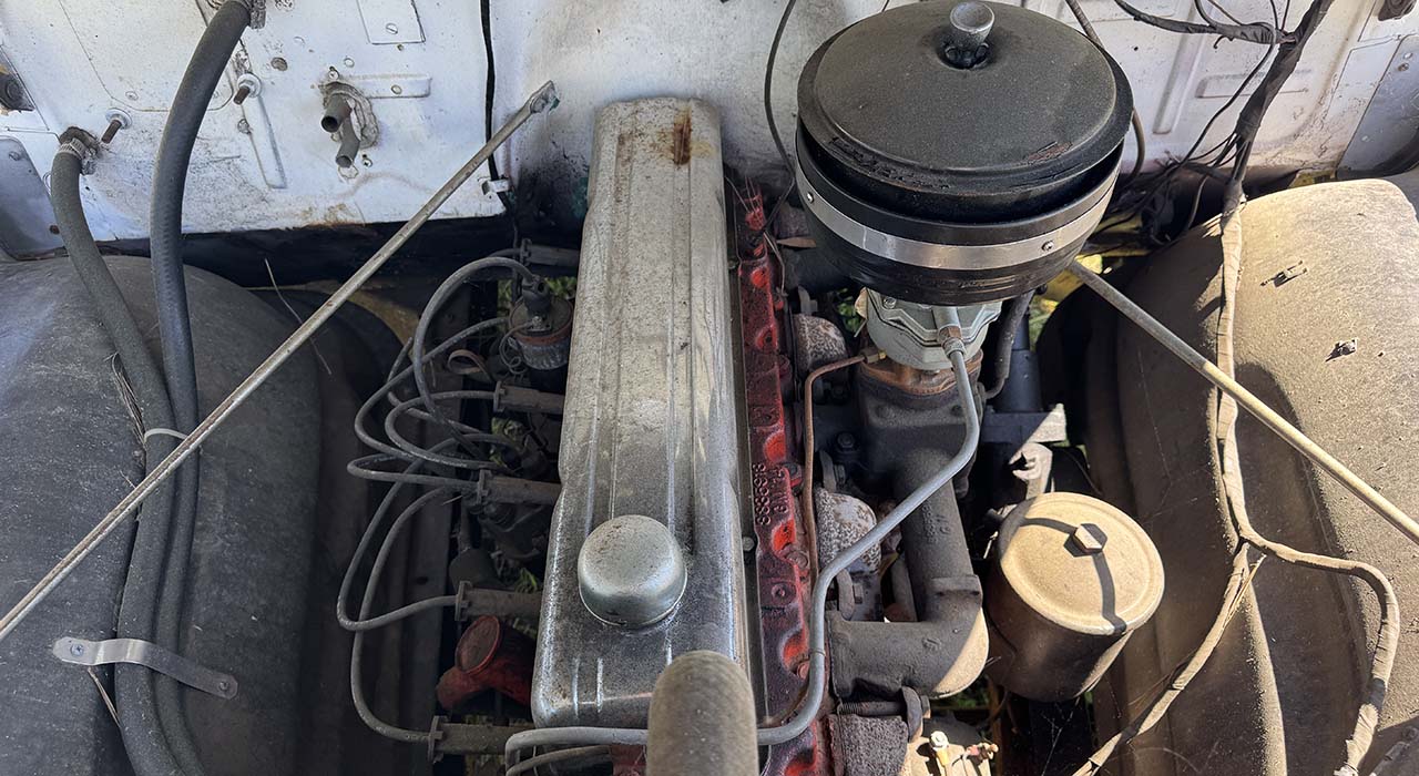 9th Image of a 1954 CHEVROLET 3100