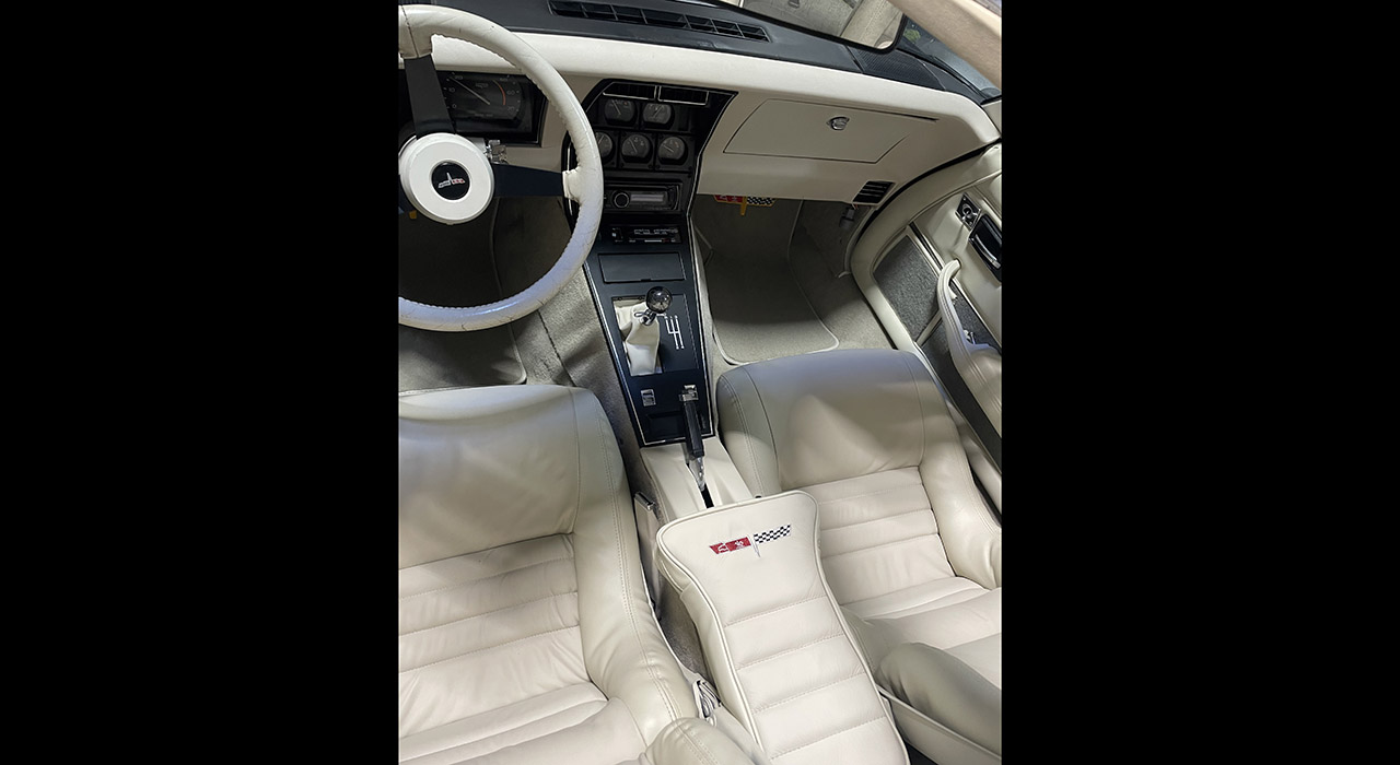 9th Image of a 1980 CHEVROLET CORVETTE