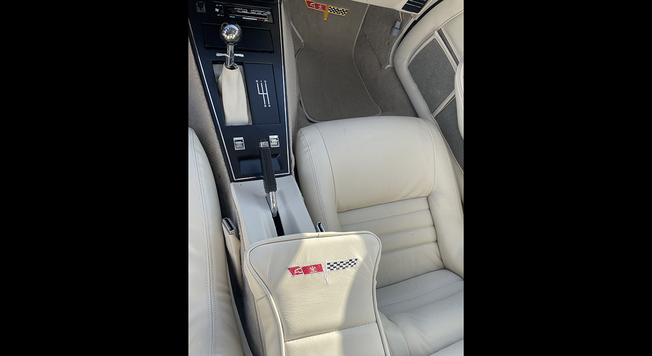 10th Image of a 1980 CHEVROLET CORVETTE