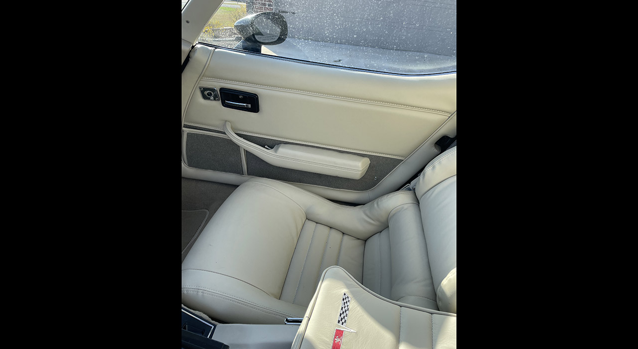 11th Image of a 1980 CHEVROLET CORVETTE
