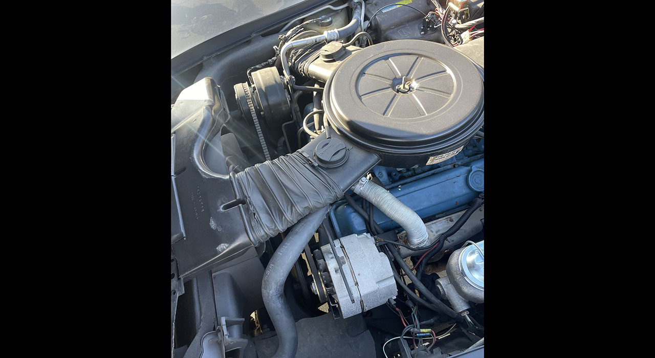 12th Image of a 1980 CHEVROLET CORVETTE