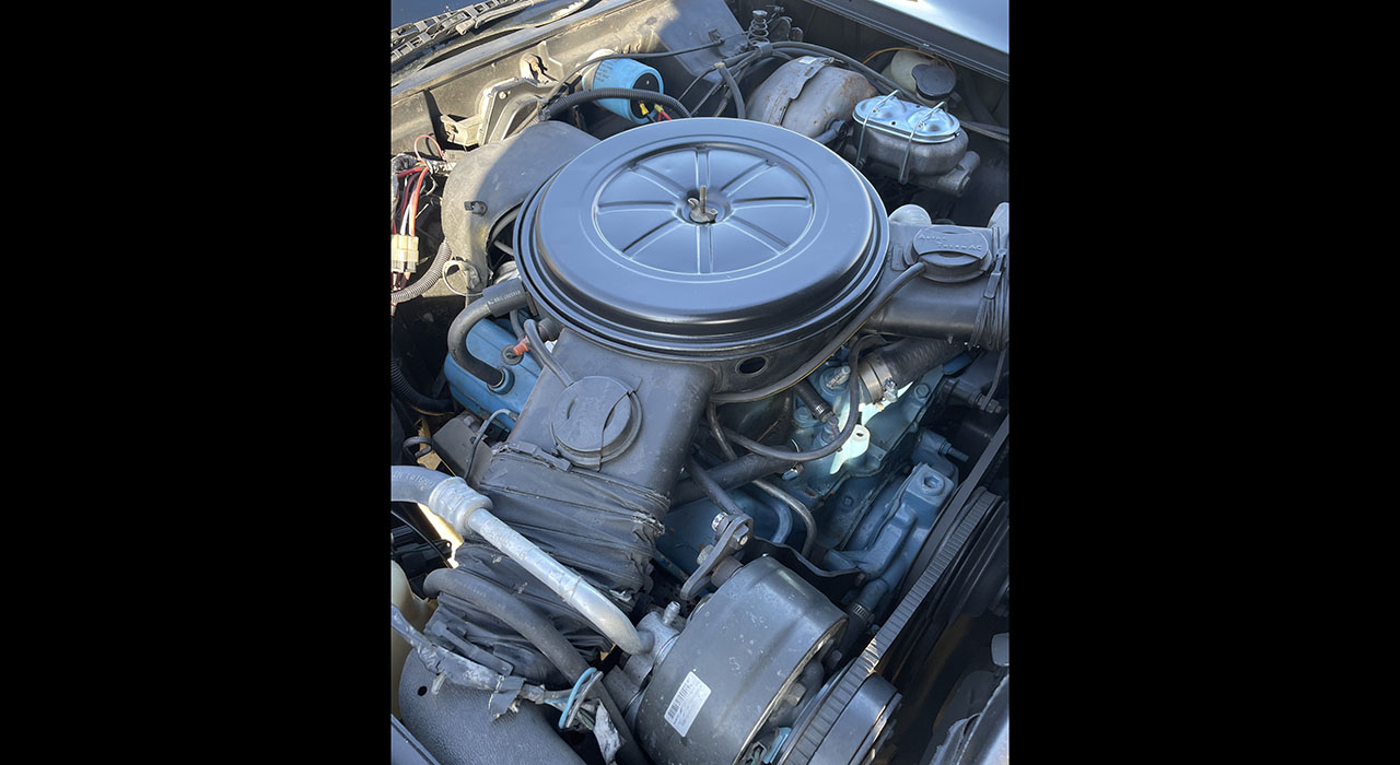 13th Image of a 1980 CHEVROLET CORVETTE