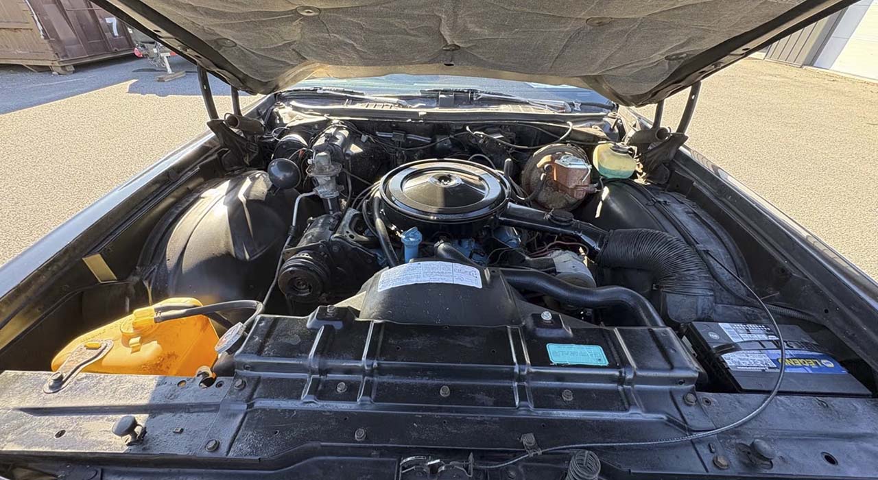 16th Image of a 1975 OLDSMOBILE HURST/ OLDS W25