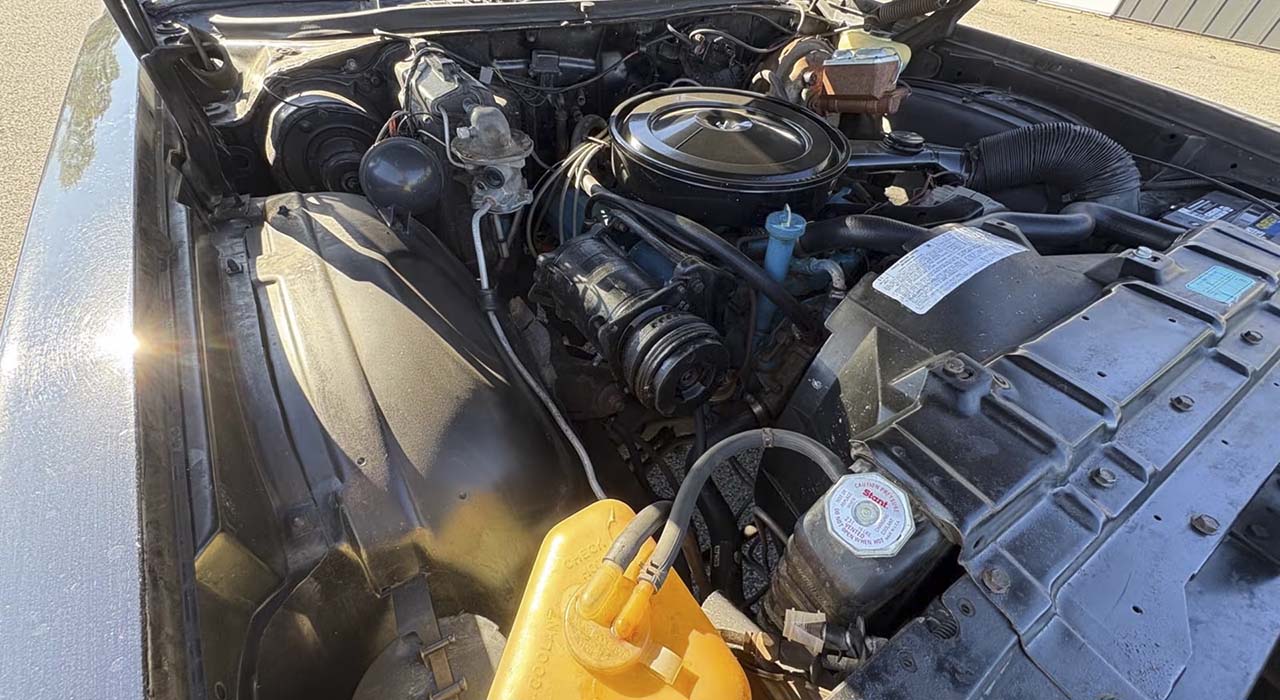 17th Image of a 1975 OLDSMOBILE HURST/ OLDS W25