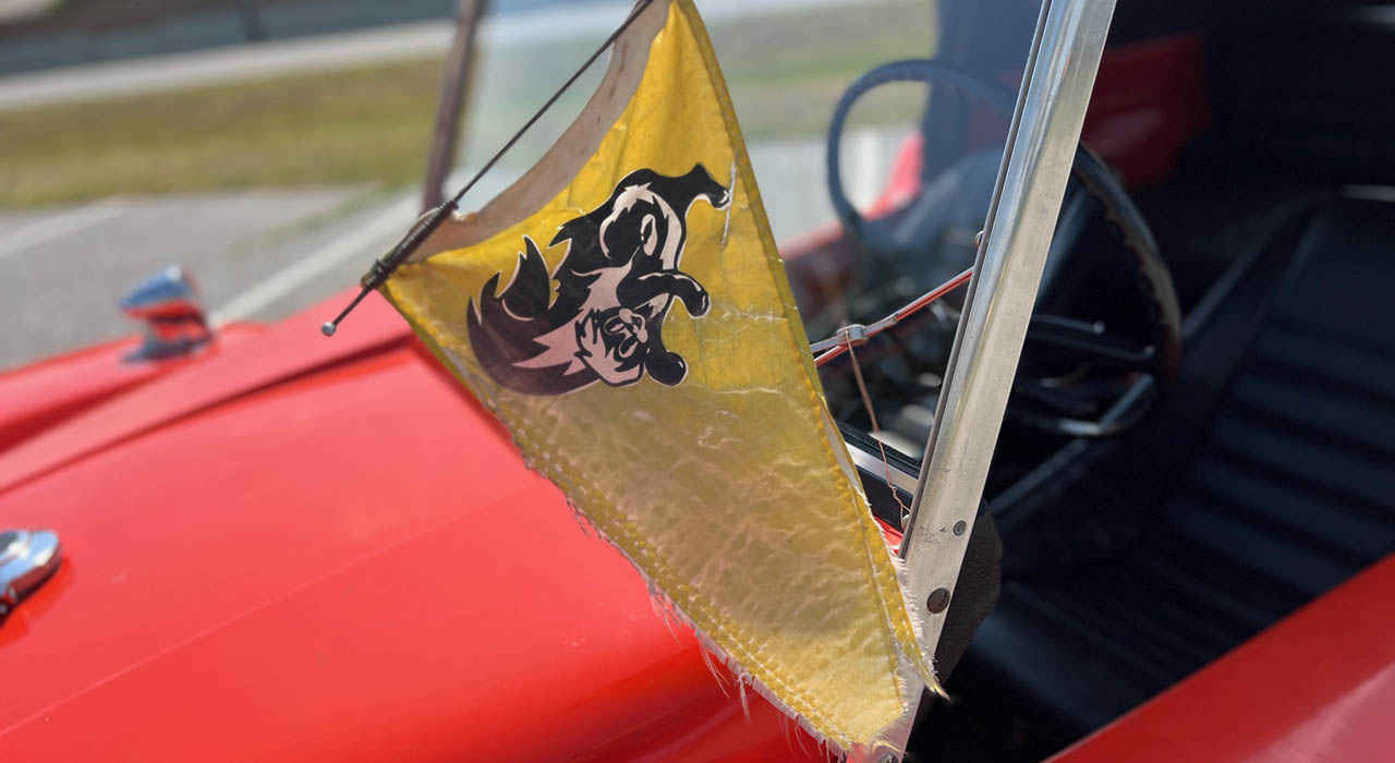 11th Image of a 1970 BEETLE DUNE