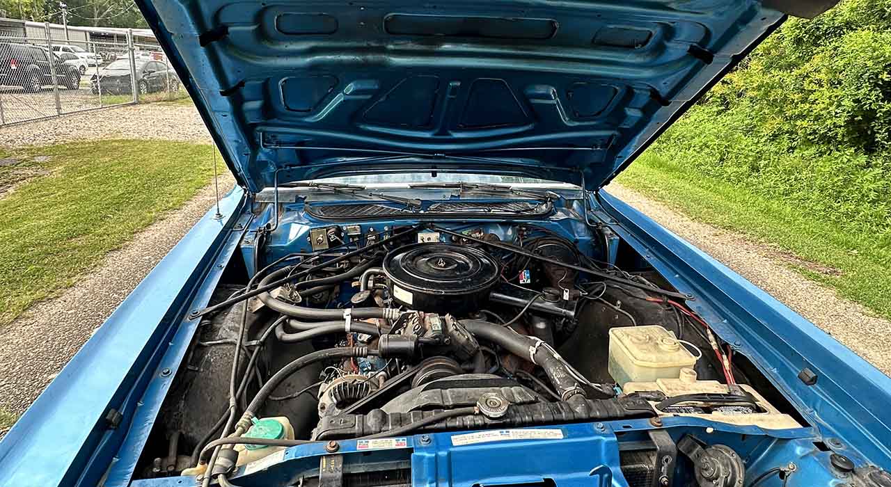 22nd Image of a 1976 PLYMOUTH FURY