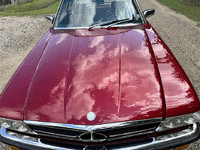 Image 8 of 17 of a 1980 MERCEDES 280SL