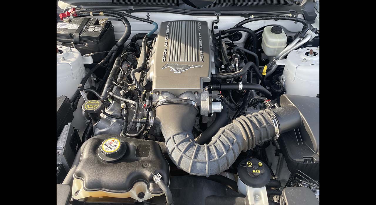 11th Image of a 2007 FORD MUSTANG GT