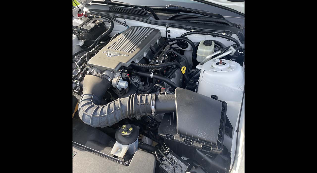 12th Image of a 2007 FORD MUSTANG GT