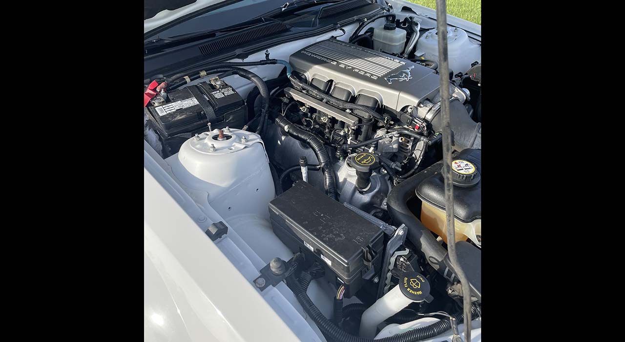 13th Image of a 2007 FORD MUSTANG GT