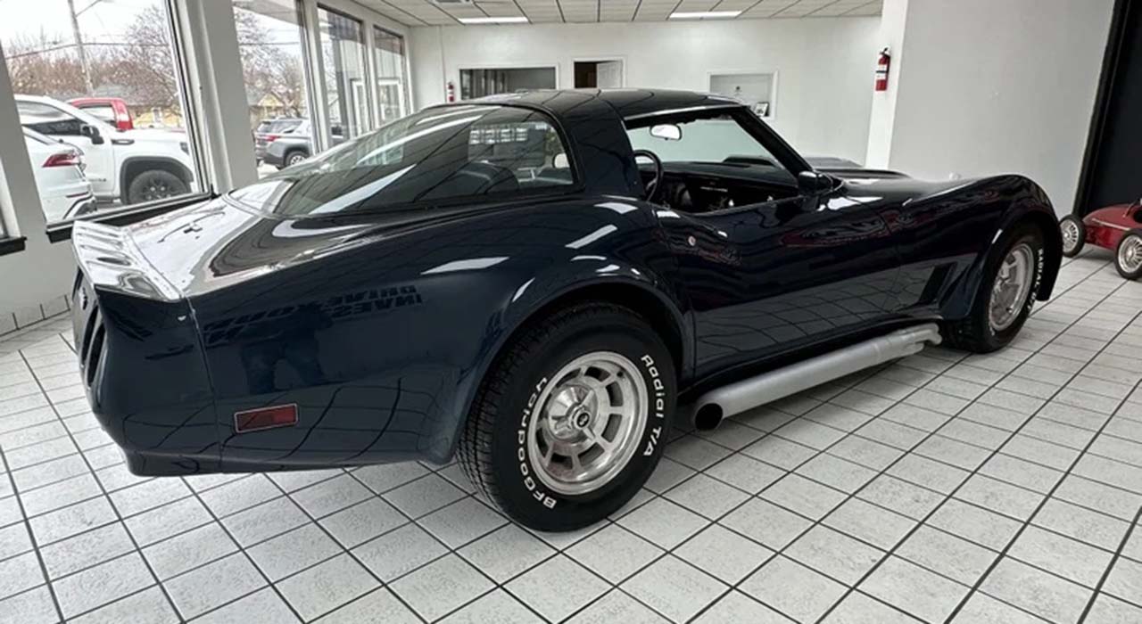 6th Image of a 1981 CHEVROLET CORVETTE