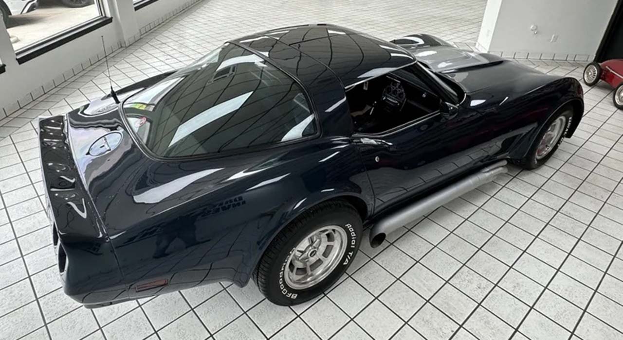 7th Image of a 1981 CHEVROLET CORVETTE