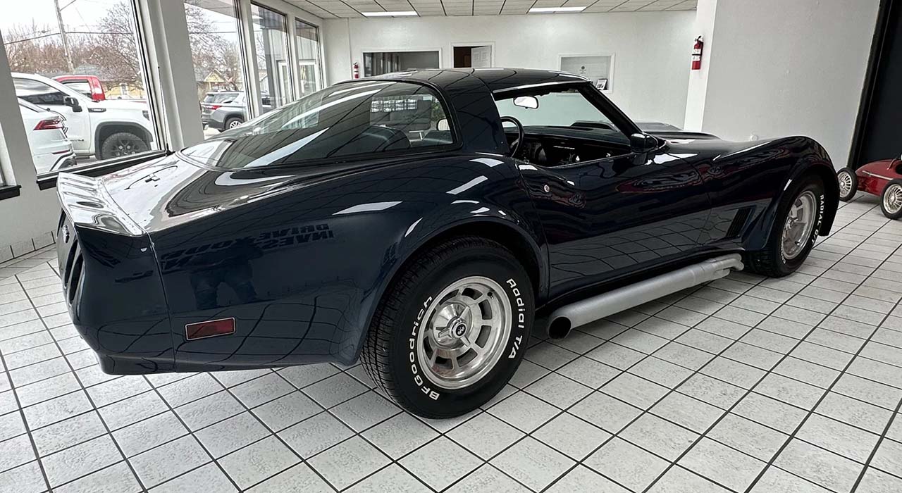 9th Image of a 1981 CHEVROLET CORVETTE