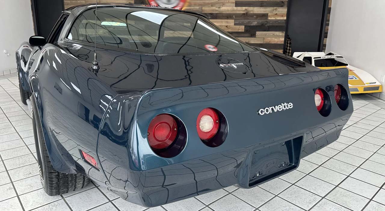 10th Image of a 1981 CHEVROLET CORVETTE