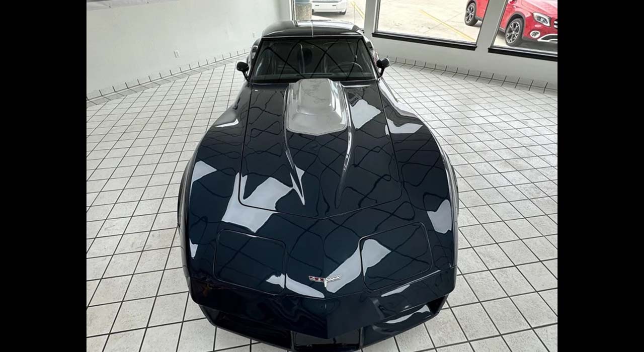 11th Image of a 1981 CHEVROLET CORVETTE