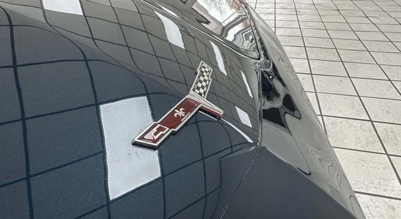 12th Image of a 1981 CHEVROLET CORVETTE