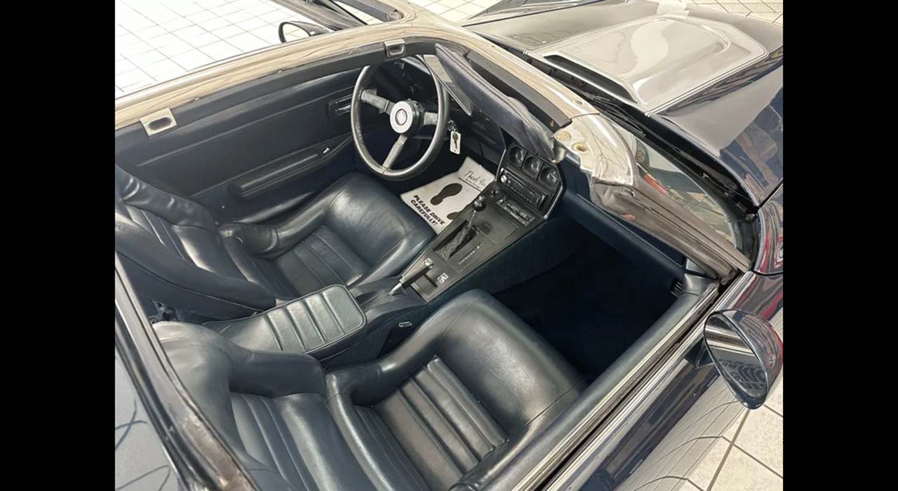 16th Image of a 1981 CHEVROLET CORVETTE