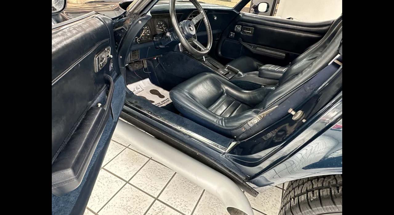 17th Image of a 1981 CHEVROLET CORVETTE