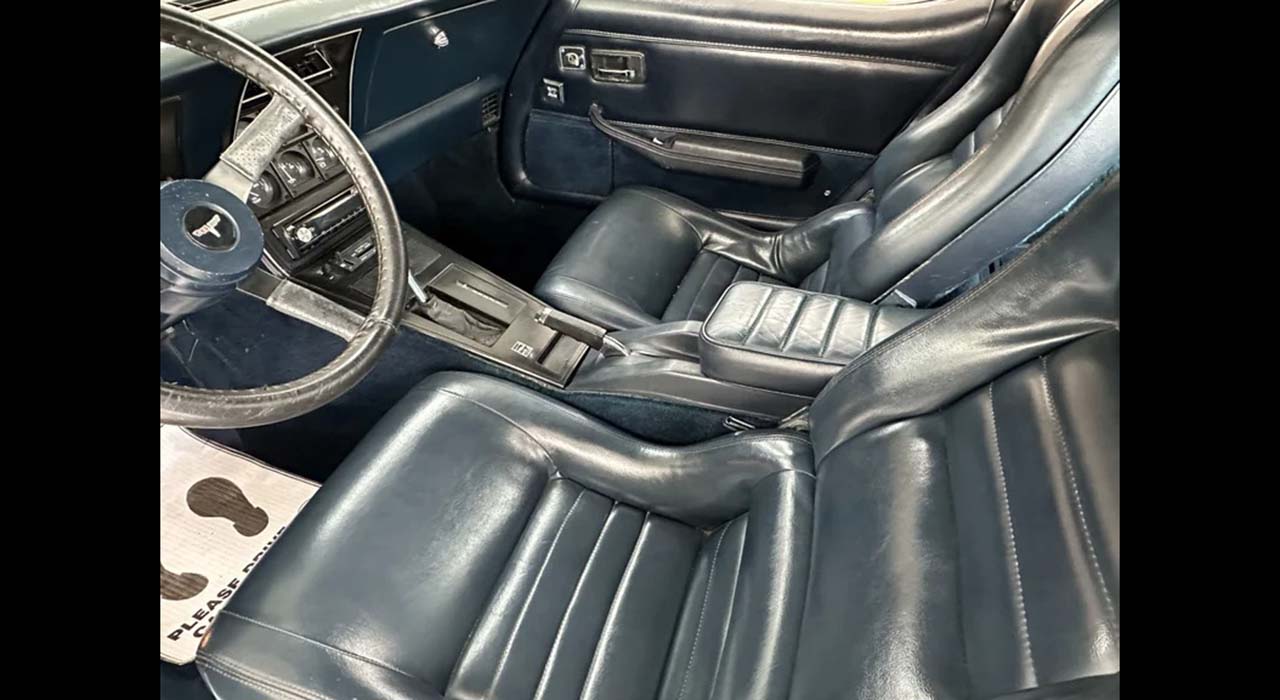 18th Image of a 1981 CHEVROLET CORVETTE