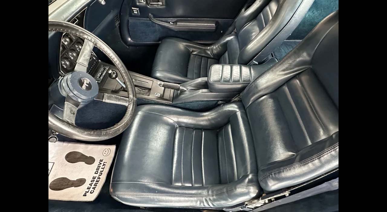 19th Image of a 1981 CHEVROLET CORVETTE