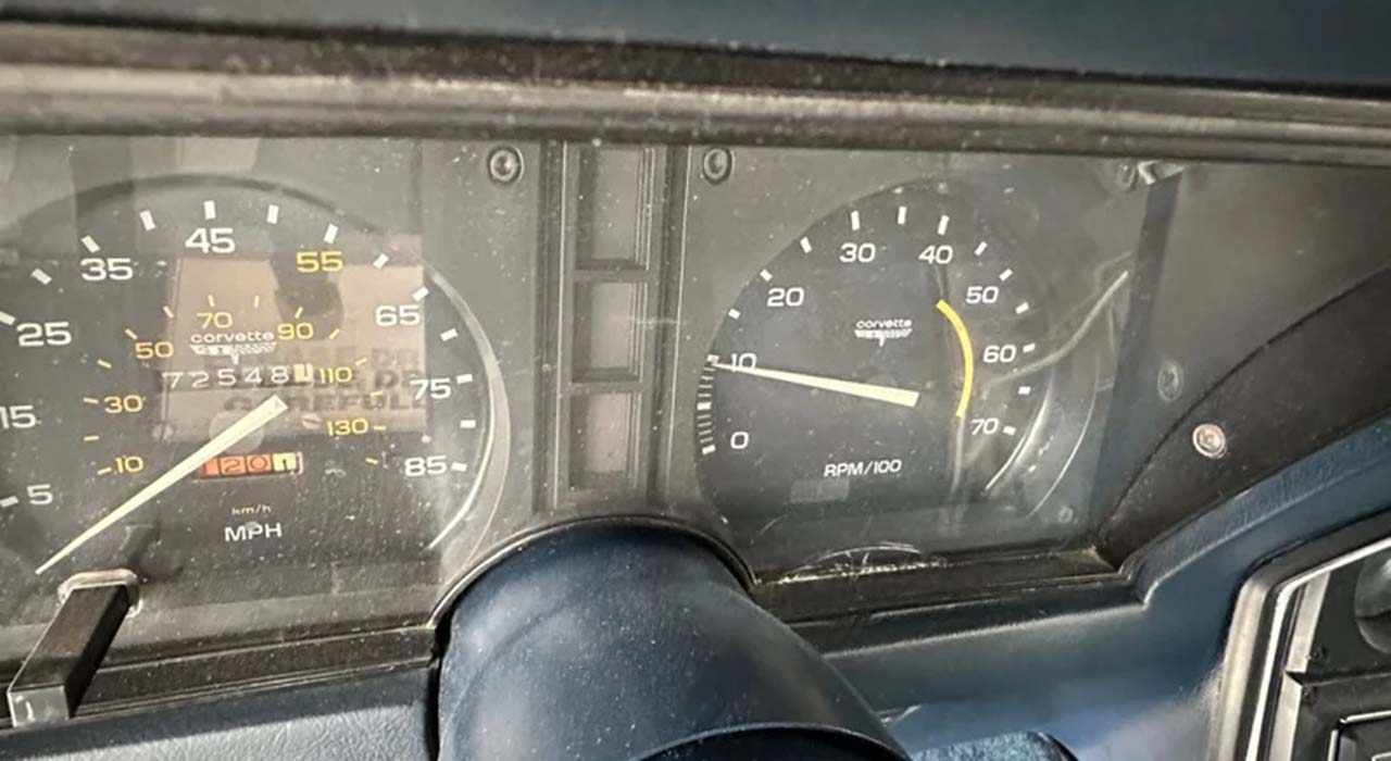 21st Image of a 1981 CHEVROLET CORVETTE