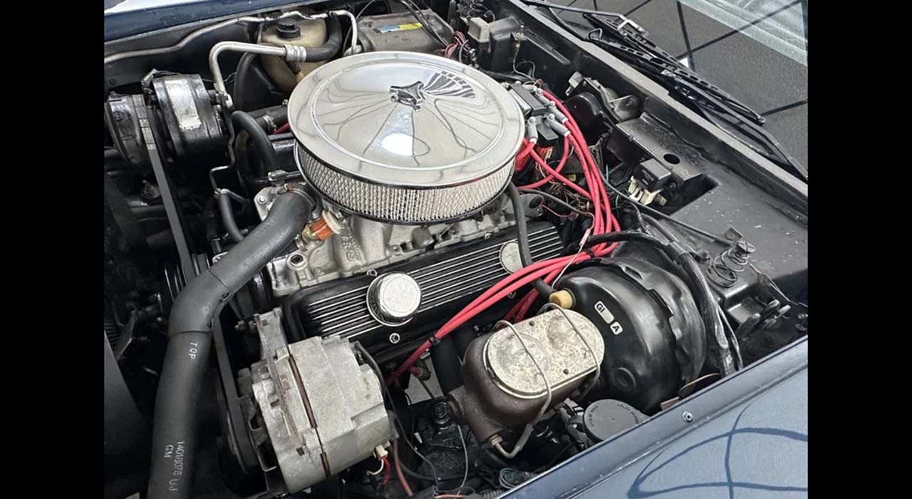 23rd Image of a 1981 CHEVROLET CORVETTE