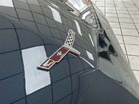 Image 13 of 24 of a 1981 CHEVROLET CORVETTE