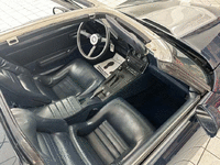 Image 17 of 24 of a 1981 CHEVROLET CORVETTE