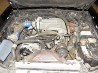 Image 7 of 14 of a 1989 FORD MUSTANG LX