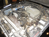 Image 8 of 14 of a 1989 FORD MUSTANG LX