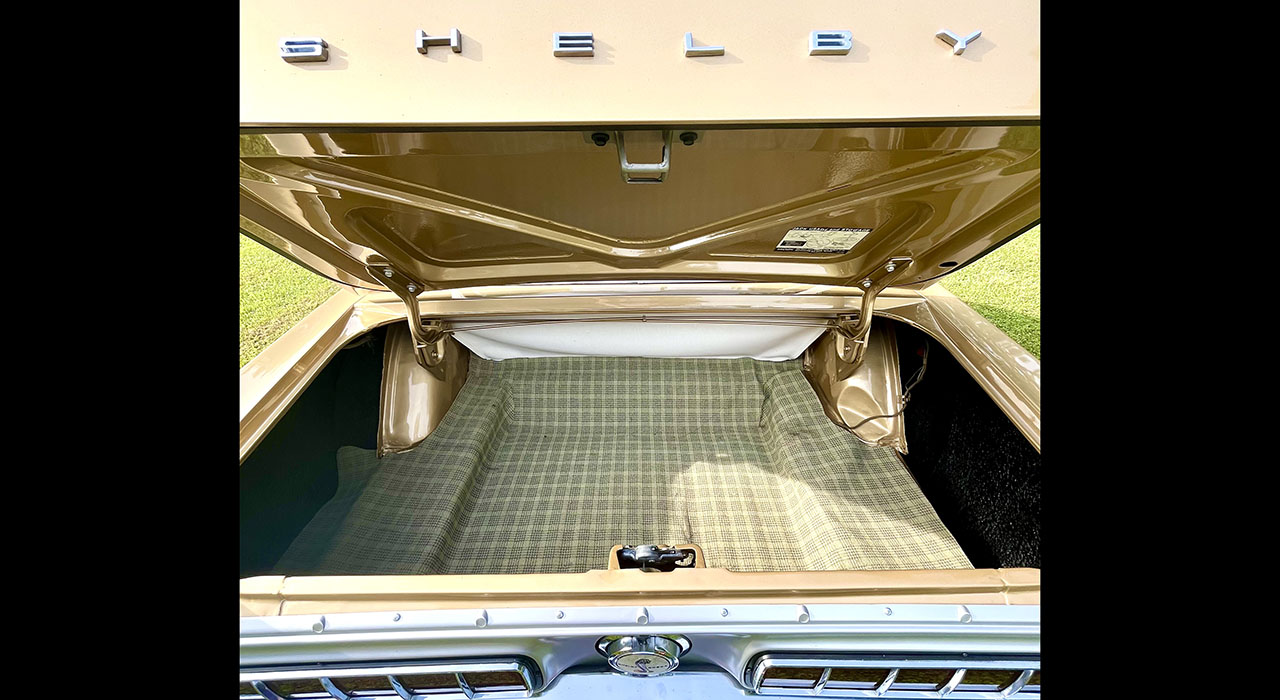 14th Image of a 1968 FORD SHELBY GT350