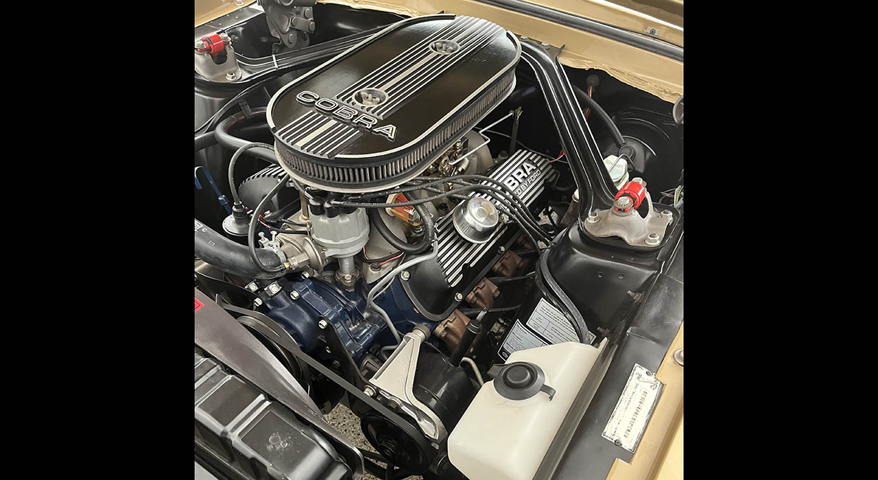 20th Image of a 1968 FORD SHELBY GT350