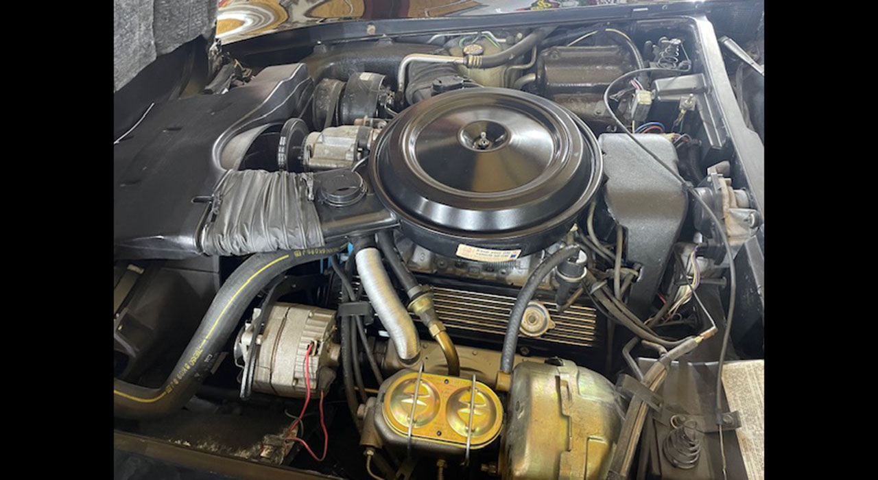 6th Image of a 1979 CHEVROLET CORVETTE