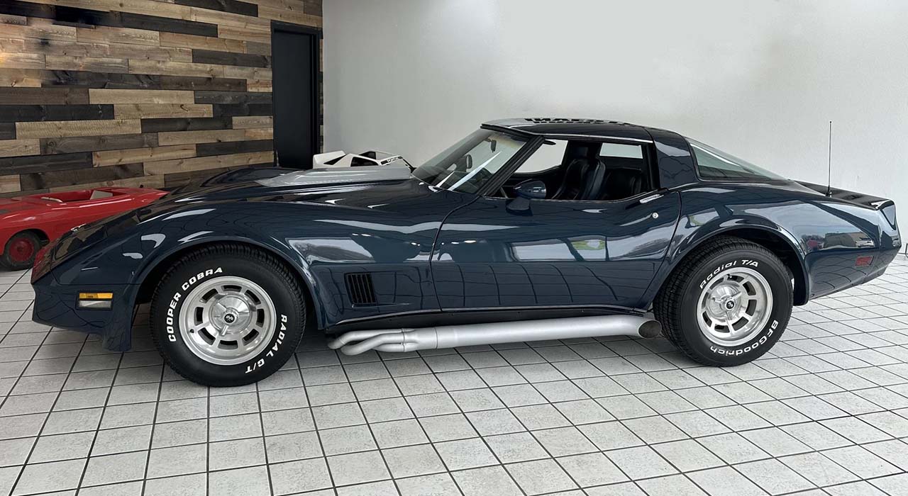 8th Image of a 1981 CHEVROLET CORVETTE