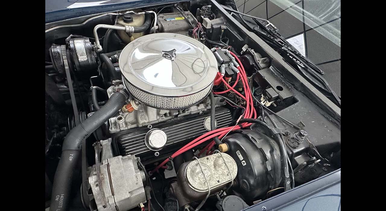22nd Image of a 1981 CHEVROLET CORVETTE