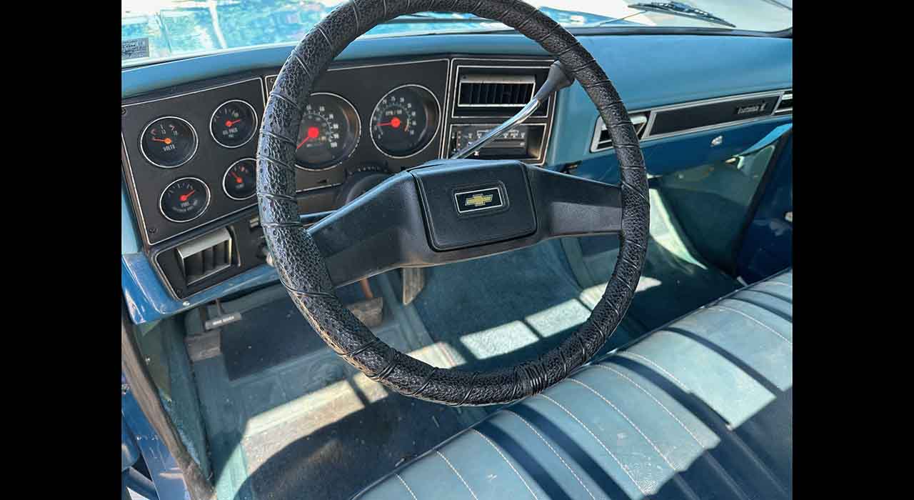 9th Image of a 1979 CHEVROLET SCOTTSDALE