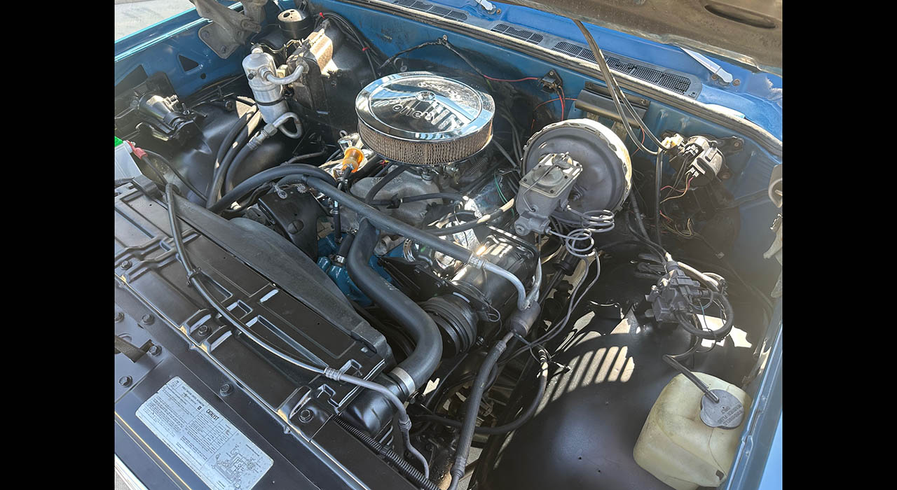 11th Image of a 1979 CHEVROLET SCOTTSDALE