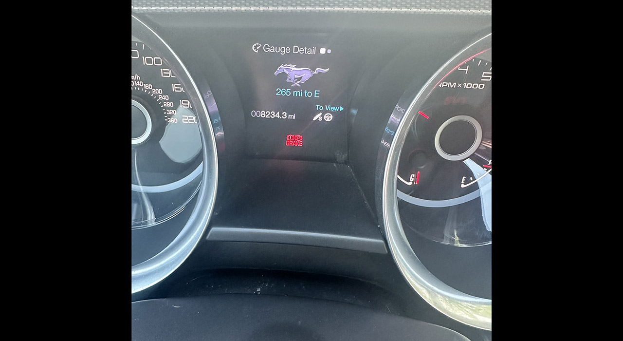 10th Image of a 2013 FORD MUSTANG SHELBY GT500