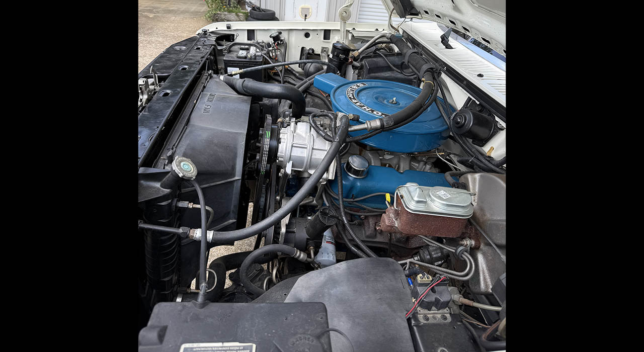 13th Image of a 1985 FORD F105