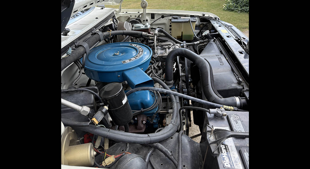 14th Image of a 1985 FORD F105