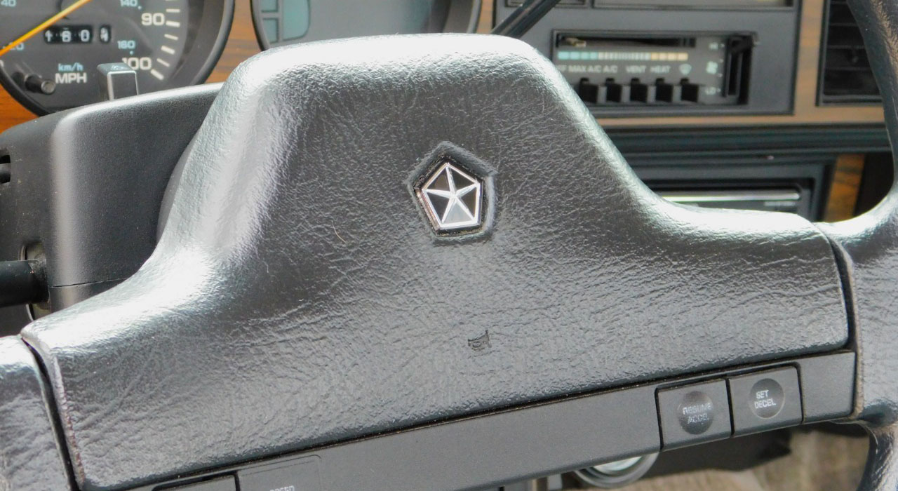 22nd Image of a 1991 DODGE 250