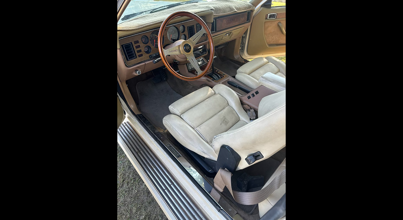 10th Image of a 1983 ZMCC ZIMMER