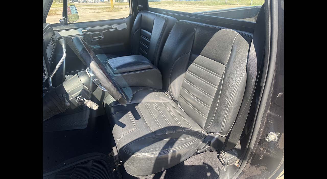 8th Image of a 1983 CHEVROLET C10