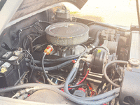 Image 8 of 8 of a 1982 JEEP CJ7 RENEGADE